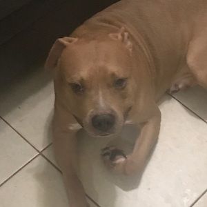 Meet your Posher, Valene